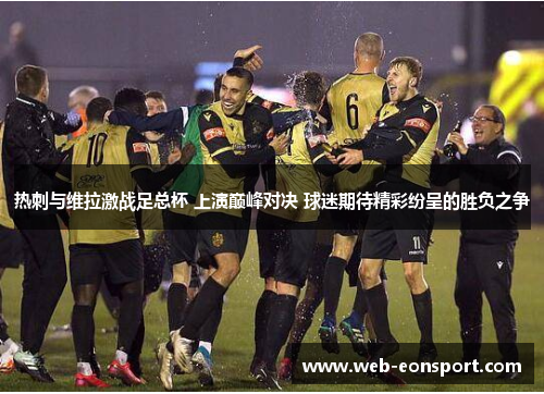 热刺与维拉激战足总杯 上演巅峰对决 球迷期待精彩纷呈的胜负之争